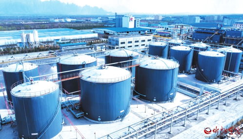 原平經(jīng)濟技術(shù)開發(fā)區(qū) 引領(lǐng)新星炭黑產(chǎn)業(yè)升級的技術(shù)咨詢探索